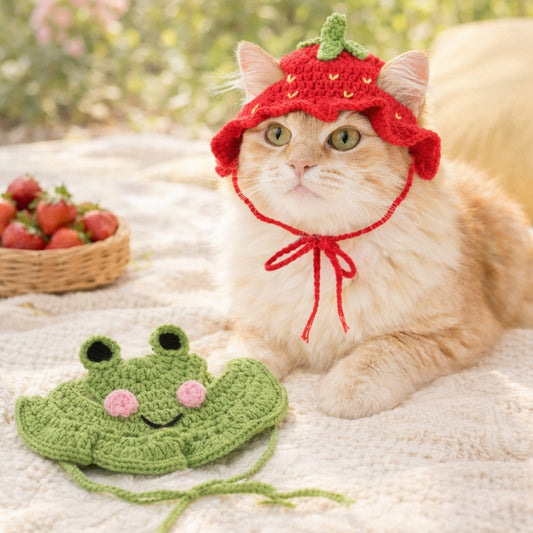 Ginger cat wearing a red crochet strawberry hat on a picnic blanket with the green frog hat in front