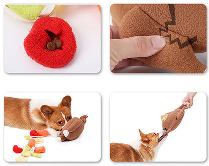 Corgi interacting with one brown plush roast toy, a red treat pouch with three kibbles and scattered felt veg.