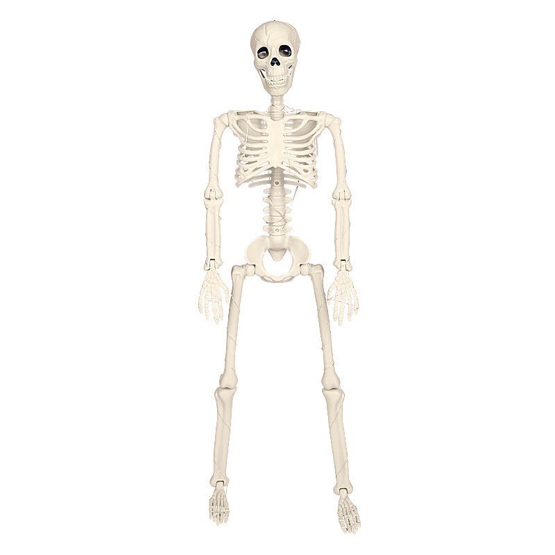 90cm Warm Light Stand - able Hanging Halloween Luminous Skeleton - 0 - Scribble Snacks