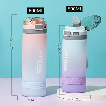 Eco-Friendly Straw Water Bottle