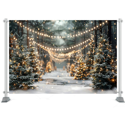 Christmas Winter Wonderland Photo Backdrop