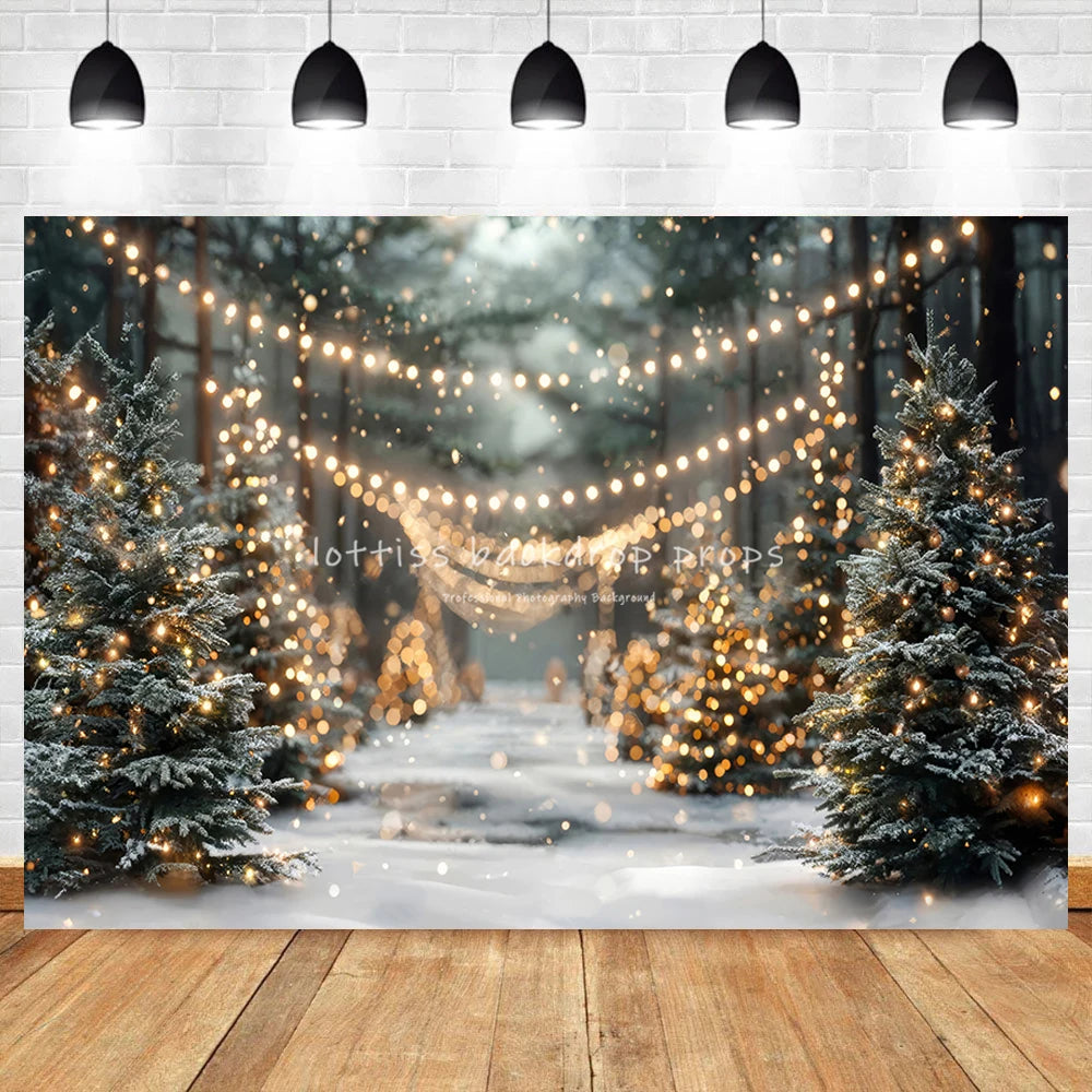 Christmas Winter Wonderland Photo Backdrop