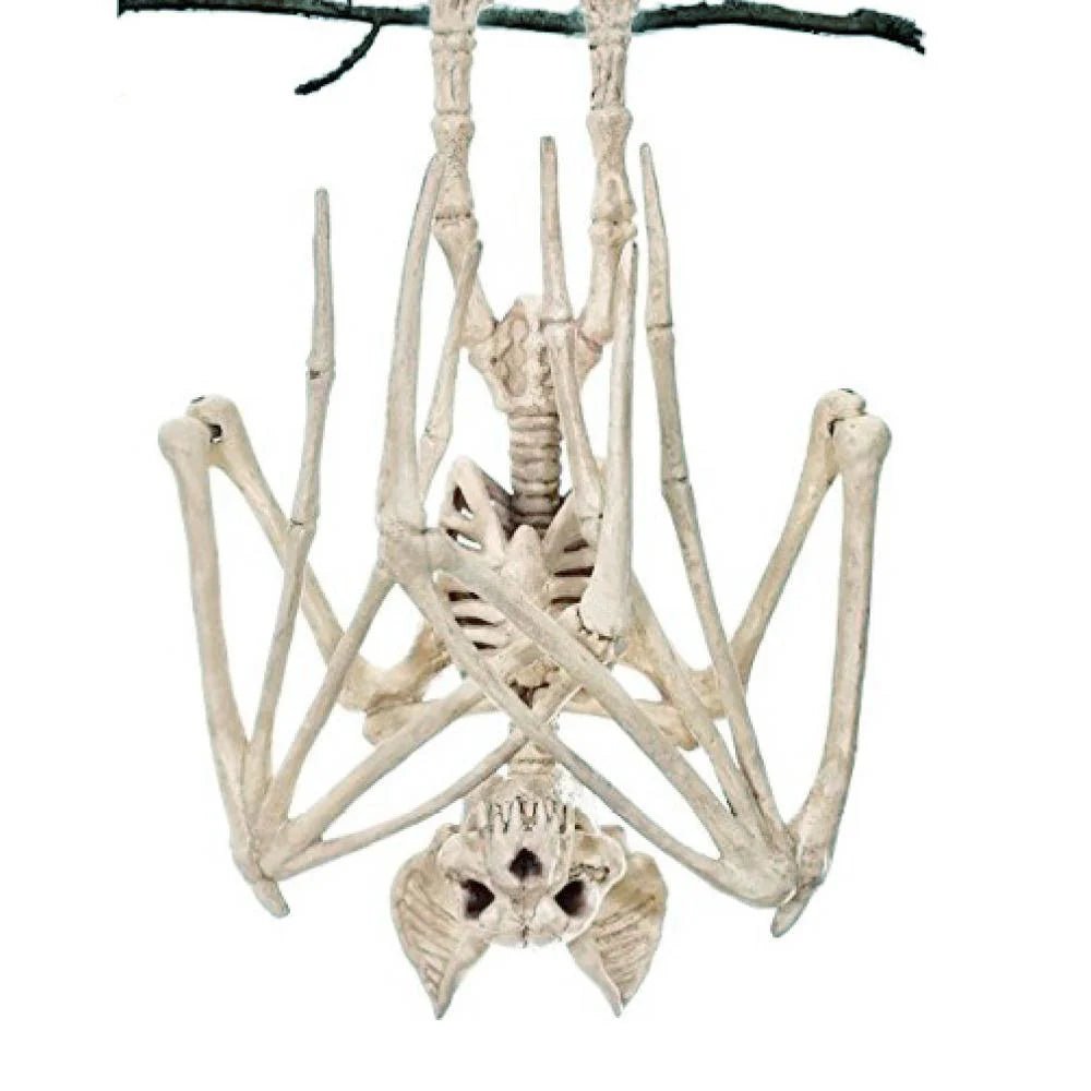 Bat Skeleton Model Decoration - Halloween - Skeletons & Bones Props - Scribble Snacks