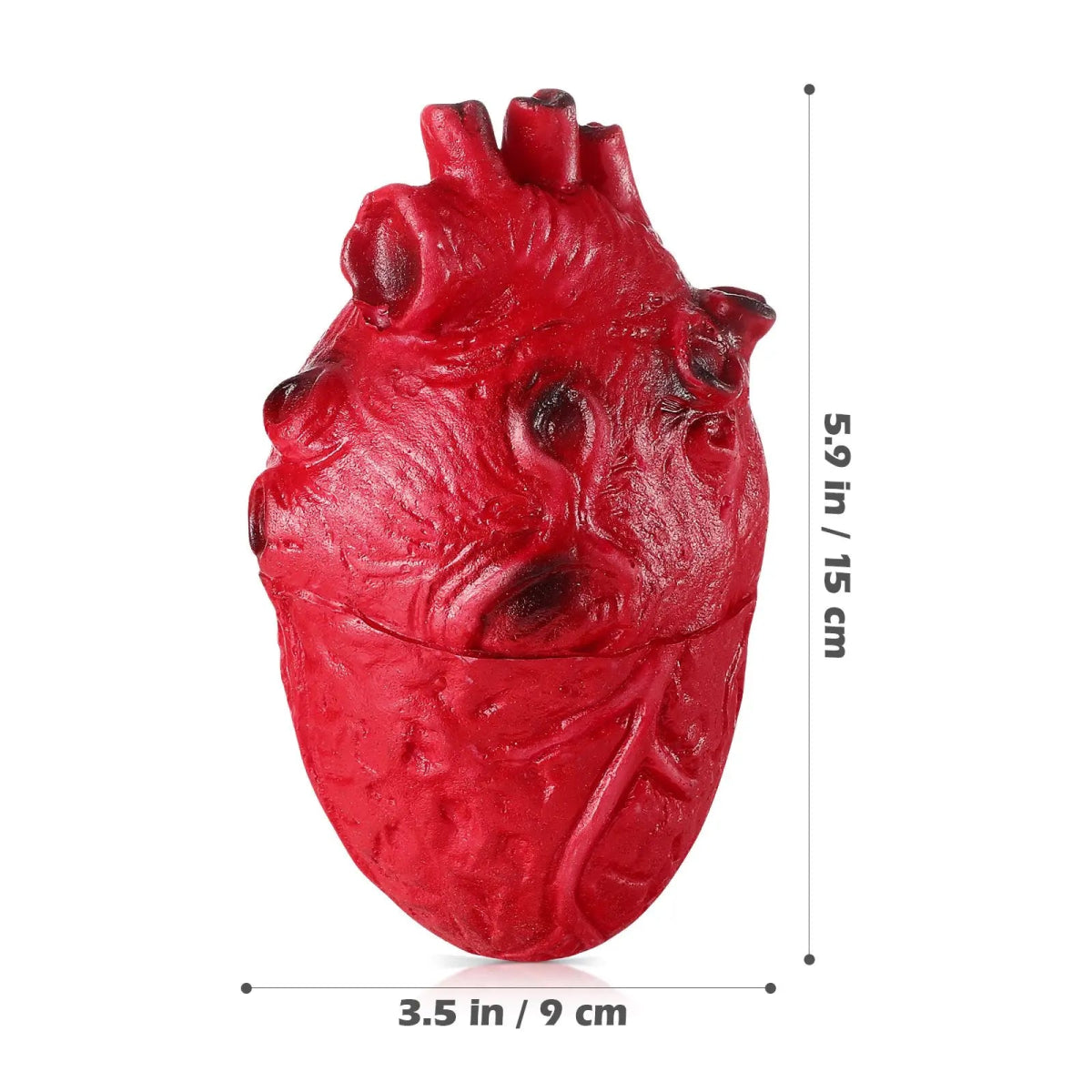 Creepy Halloween Heart Decor Prop - Halloween - Fake Blood & Joke Props - Scribble Snacks