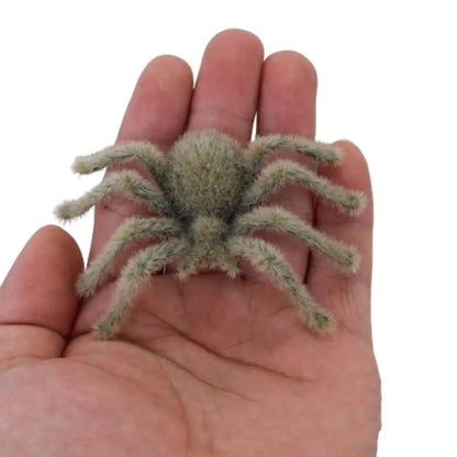 Creepy Halloween Spider Toy - Halloween - Fake Spiders & Insects - Scribble Snacks