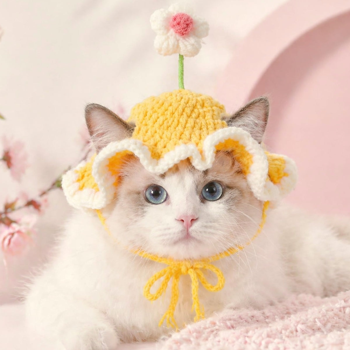 White cat wearing the yellow sunny egg crochet hat with a little flower on top