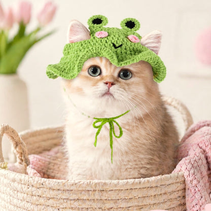 Cream kitten in a basket wearing the green crochet frog hat