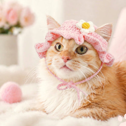 Ginger cat wearing the pink crochet blossom hat