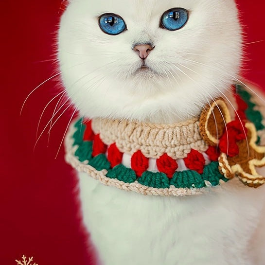 White cat wearing the crochet gingerbread collar against a red background