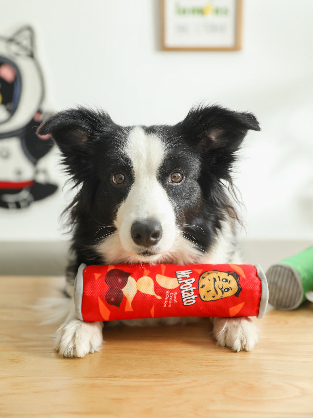Black-and-white dog resting chin on a red cylindrical 'Mr. Potato' plush toy with chip graphics.