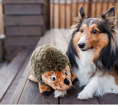 One brown-and-olive hedgehog plush toy next to one tricolor long-haired dog on a wooden deck.