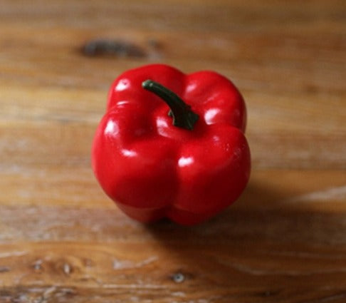Real supplier photo: realistic fake red capsicum