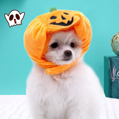 Fashion Halloween Pet Cat Dog Pumpkin Hat - 0 - Scribble Snacks