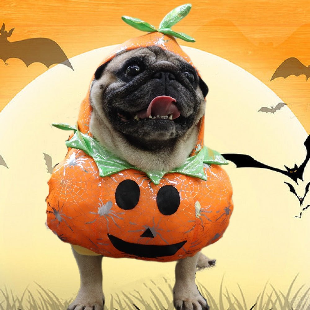 Fashion Personality Pet Halloween 3D Pumpkin Dress - 0 - Scribble Snacks