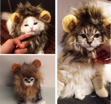 Funny Pet Hat For Small Dogs Cats Hat Emulation Lion Hair Mane Ears Head Cap Scarf Pet Halloween Festival Costume - 0 - Scribble Snacks