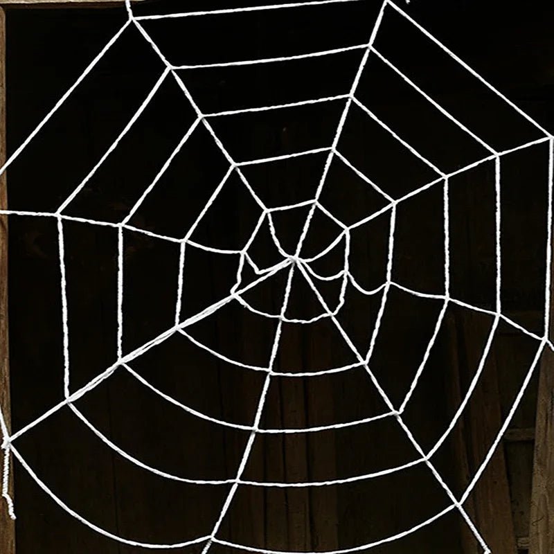 Giant Black Spider Halloween Decor - Halloween - Fake Spiders & Insects - Scribble Snacks