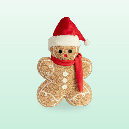 Gingerbread cookie cushion in a Santa hat and red scarf, on a mint background