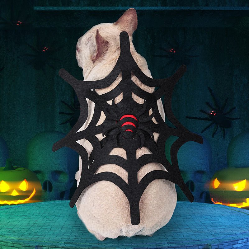 Halloween Cat Dog Spider Web Makeover - 0 - Scribble Snacks