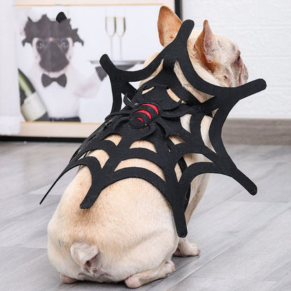 Halloween Cat Dog Spider Web Makeover - 0 - Scribble Snacks