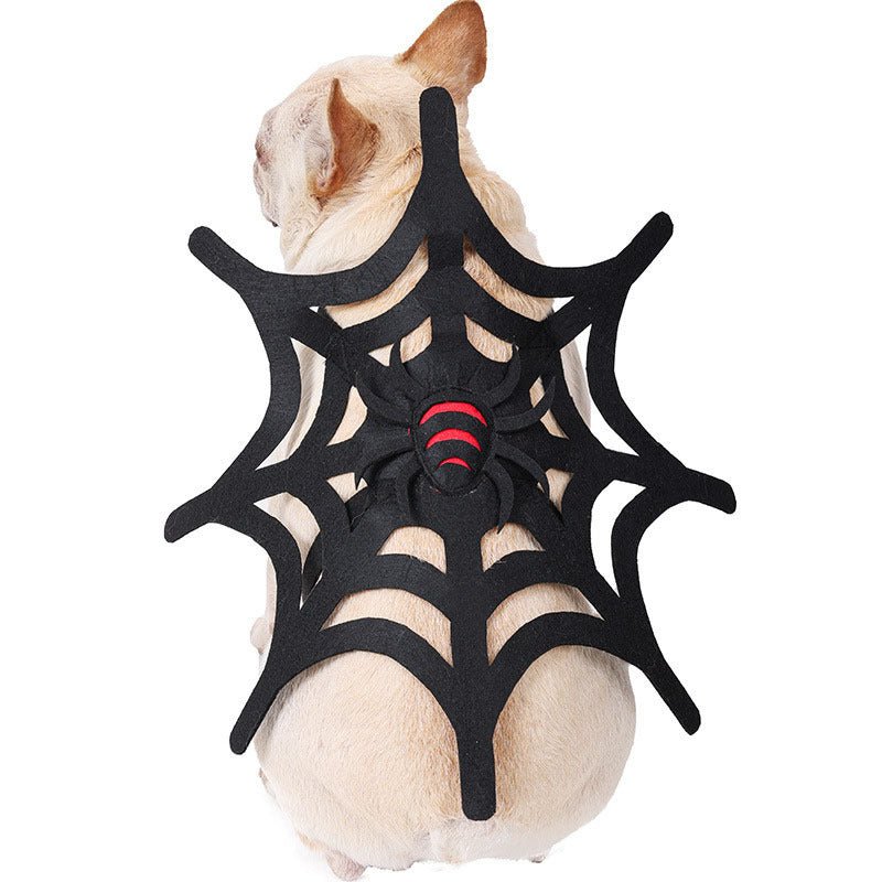 Halloween Cat Dog Spider Web Makeover - 0 - Scribble Snacks