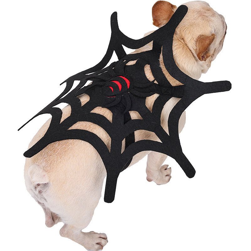 Halloween Cat Dog Spider Web Makeover - 0 - Scribble Snacks