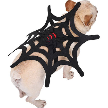 Halloween Cat Dog Spider Web Makeover - 0 - Scribble Snacks