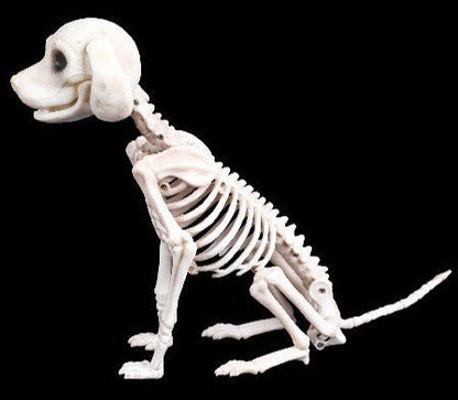 Halloween Decoration Artificial Animal Skeleton - 0 - Scribble Snacks