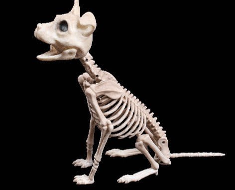 Halloween Decoration Artificial Animal Skeleton - 0 - Scribble Snacks