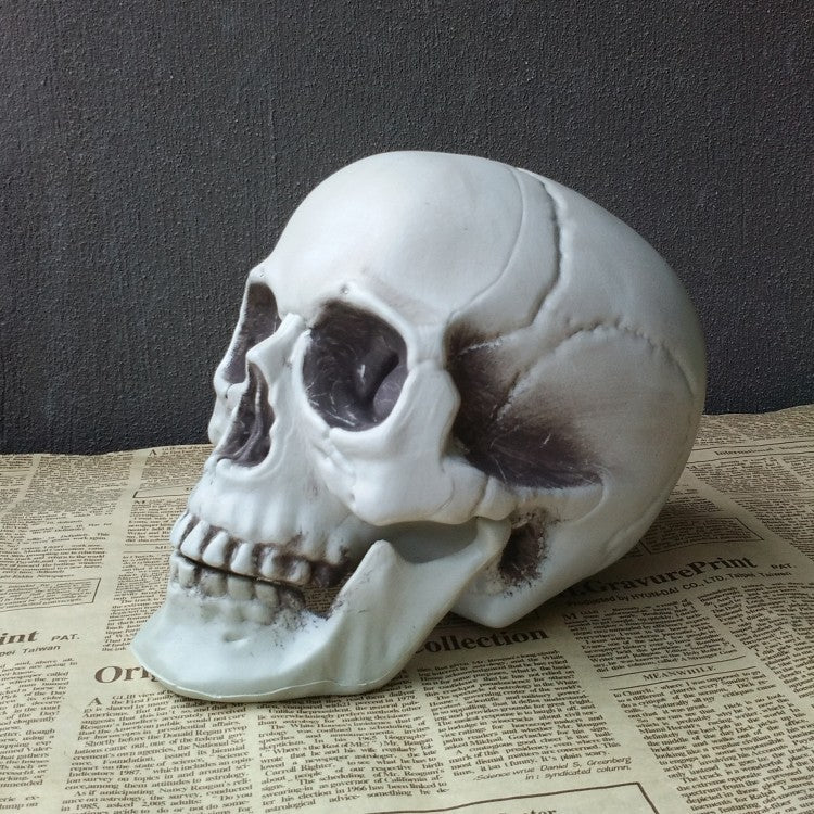 Halloween Decoration Artificial Skull - 0 - Scribble Snacks