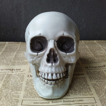 Halloween Decoration Artificial Skull - 0 - Scribble Snacks