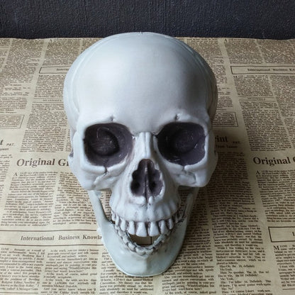 Halloween Decoration Artificial Skull - 0 - Scribble Snacks