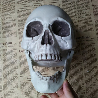 Halloween Decoration Artificial Skull - 0 - Scribble Snacks