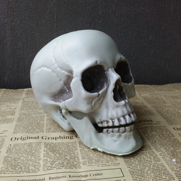 Halloween Decoration Artificial Skull - 0 - Scribble Snacks