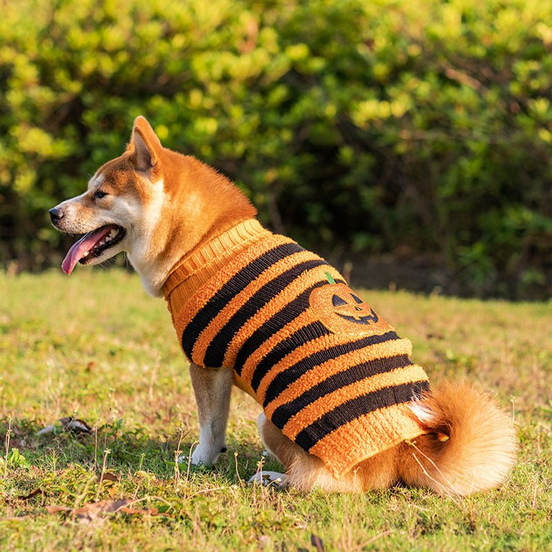 Halloween Dog Sweaters Pet Costume Teddy Warm Leisure Sweater Cosplay Clothes For Dogs Pets Outfits - 0 - Scribble Snacks