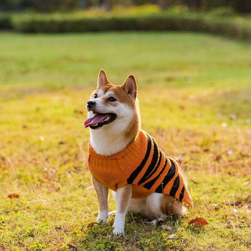 Halloween Dog Sweaters Pet Costume Teddy Warm Leisure Sweater Cosplay Clothes For Dogs Pets Outfits - 0 - Scribble Snacks