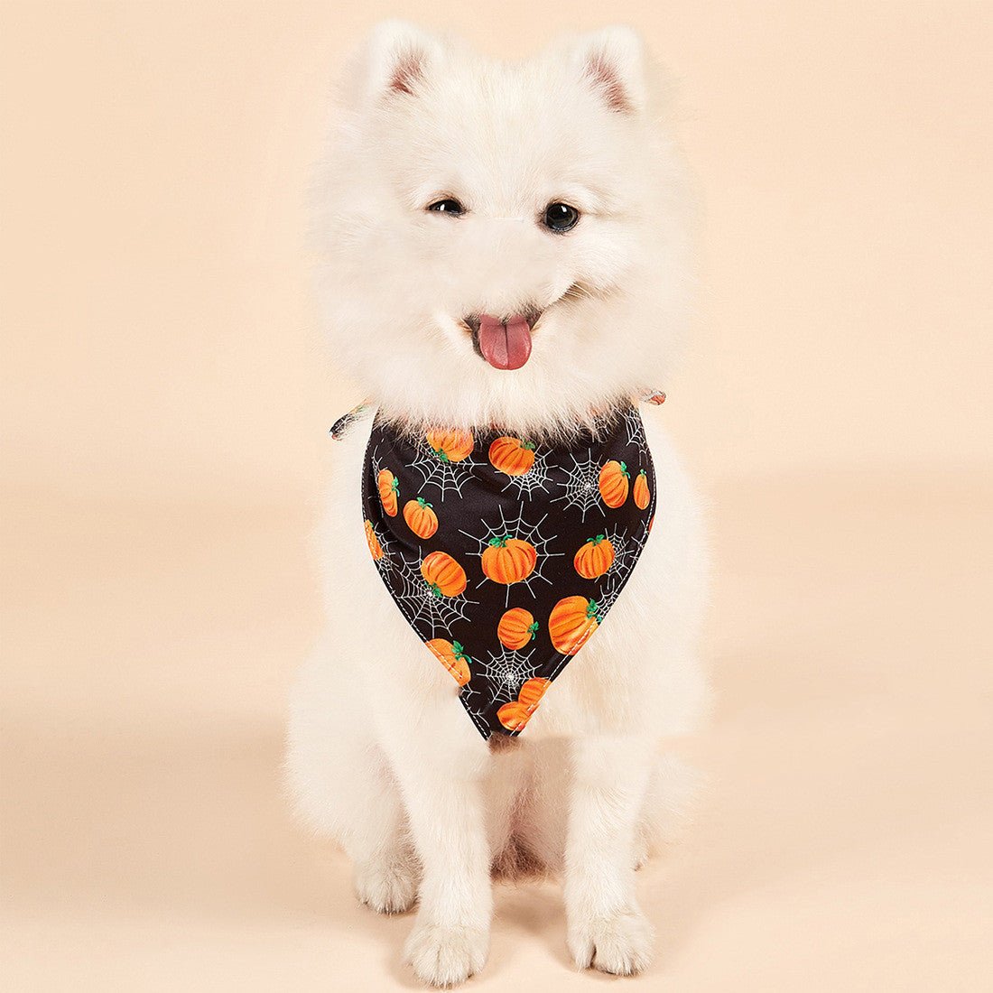 Halloween Double - sided Saliva Towel Pet Accessories - 0 - Scribble Snacks