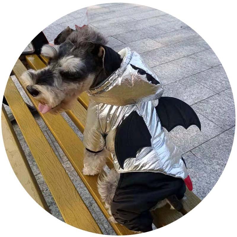 Halloween Funny Bat Silver Pet Cotton Coat - 0 - Scribble Snacks