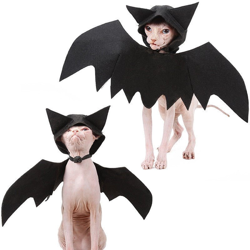 Halloween pet bat wings - 0 - Scribble Snacks