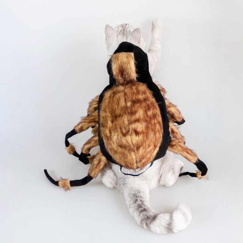 Halloween Pet Cat Dog Spider Costume Cool Cosplay - 0 - Scribble Snacks