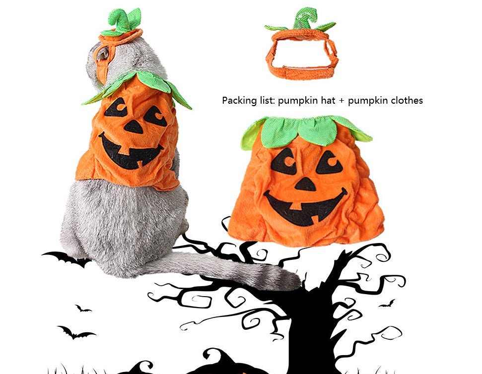 Halloween Pet Cats Costume Props Creative Pumpkin Shape Green Leaf Decoration Cosplay Clothing Holiday Garment Supplies - 0 - Scribble Snacks