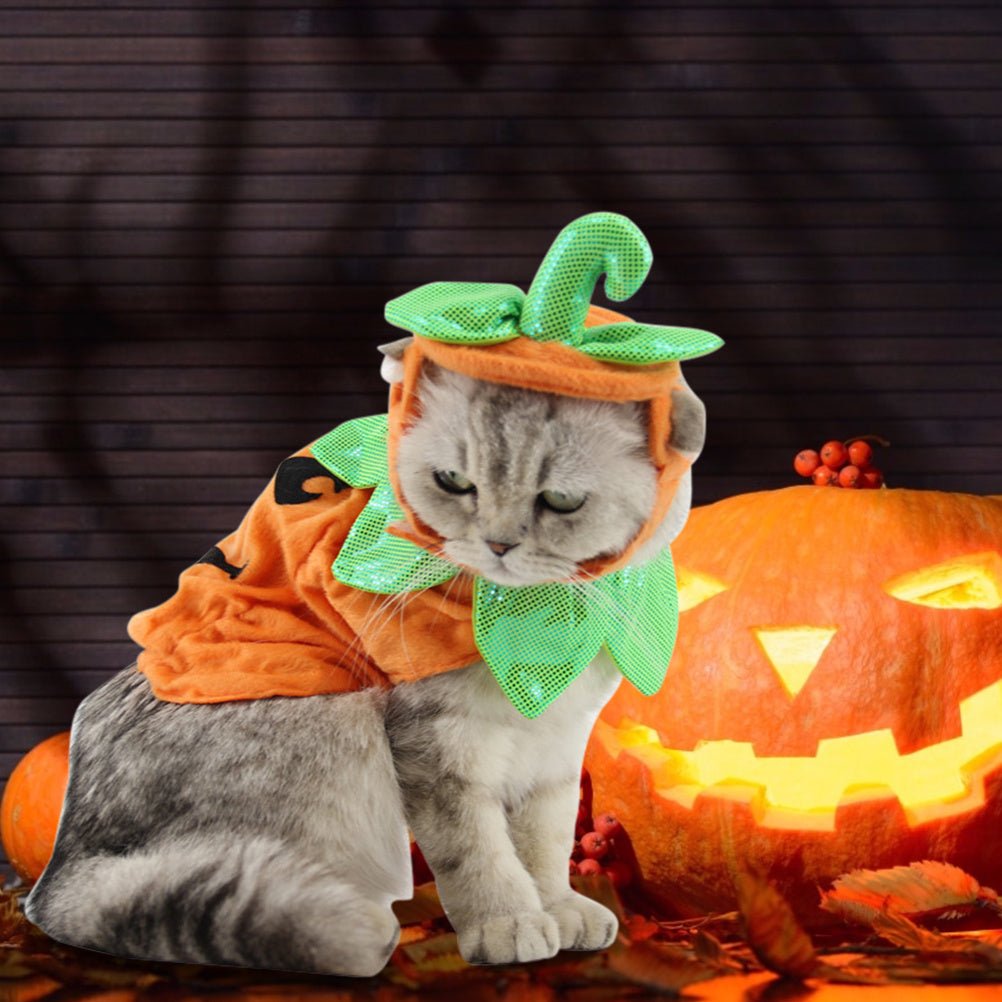 Halloween Pet Cats Costume Props Creative Pumpkin Shape Green Leaf Decoration Cosplay Clothing Holiday Garment Supplies - 0 - Scribble Snacks