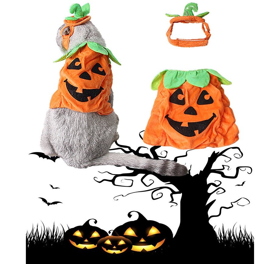 Halloween Pet Cats Costume Props Creative Pumpkin Shape Green Leaf Decoration Cosplay Clothing Holiday Garment Supplies - 0 - Scribble Snacks