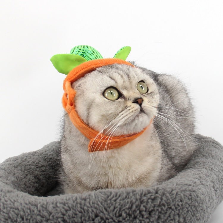 Halloween Pet Cats Costume Props Creative Pumpkin Shape Green Leaf Decoration Cosplay Clothing Holiday Garment Supplies - 0 - Scribble Snacks