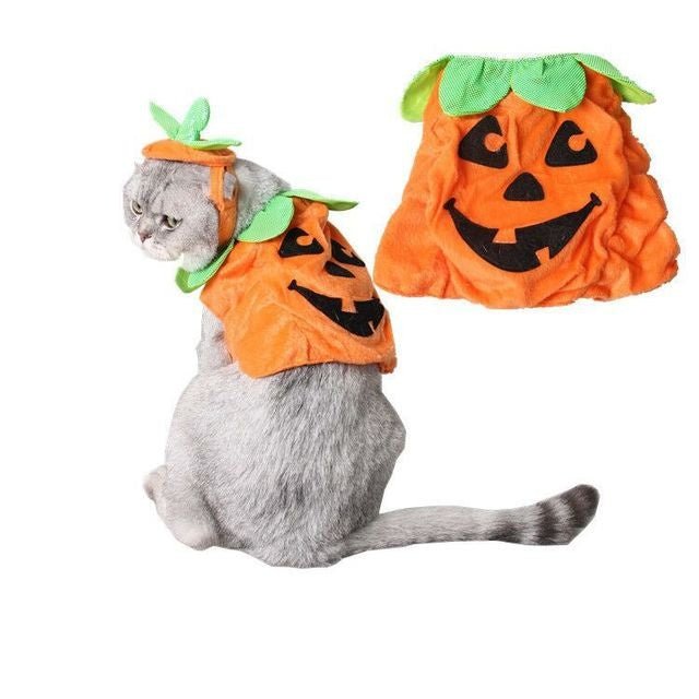 Halloween Pet Cats Costume Props Creative Pumpkin Shape Green Leaf Decoration Cosplay Clothing Holiday Garment Supplies - 0 - Scribble Snacks