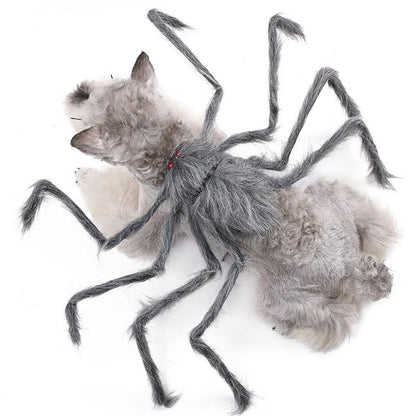 Halloween Pet Clothes Big Spider Pet Costume - 0 - Scribble Snacks