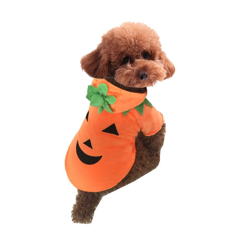 Halloween pet clothes pumpkin demon transformation costume - 0 - Scribble Snacks