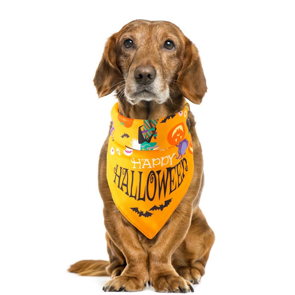 Halloween pet saliva towel - 0 - Scribble Snacks