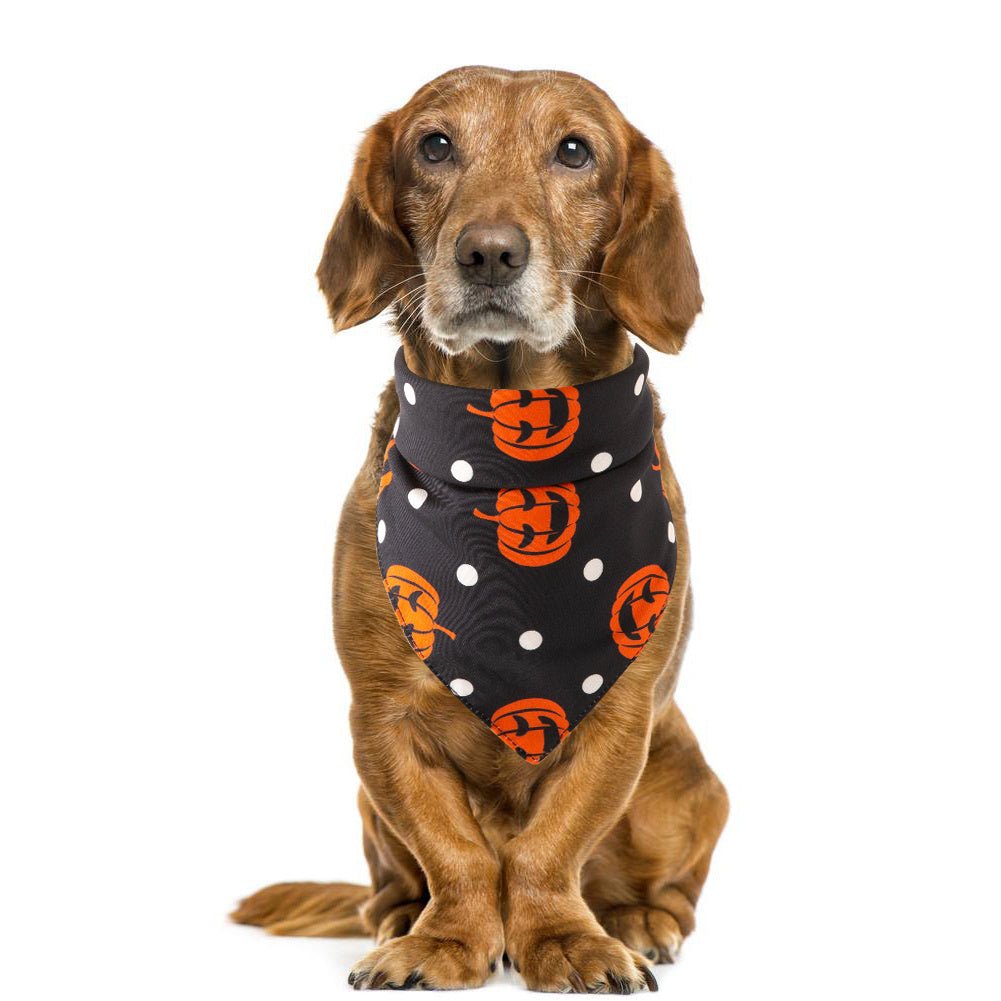 Halloween pet saliva towel - 0 - Scribble Snacks