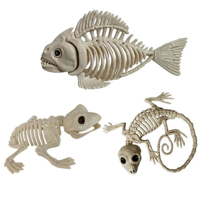 Halloween Pet Skeleton Decorations Set - Halloween - Skeletons & Bones Props - Scribble Snacks