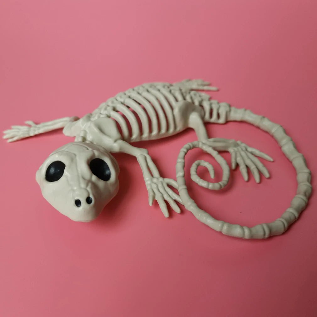 Halloween Pet Skeleton Decorations Set - Halloween - Skeletons & Bones Props - Scribble Snacks